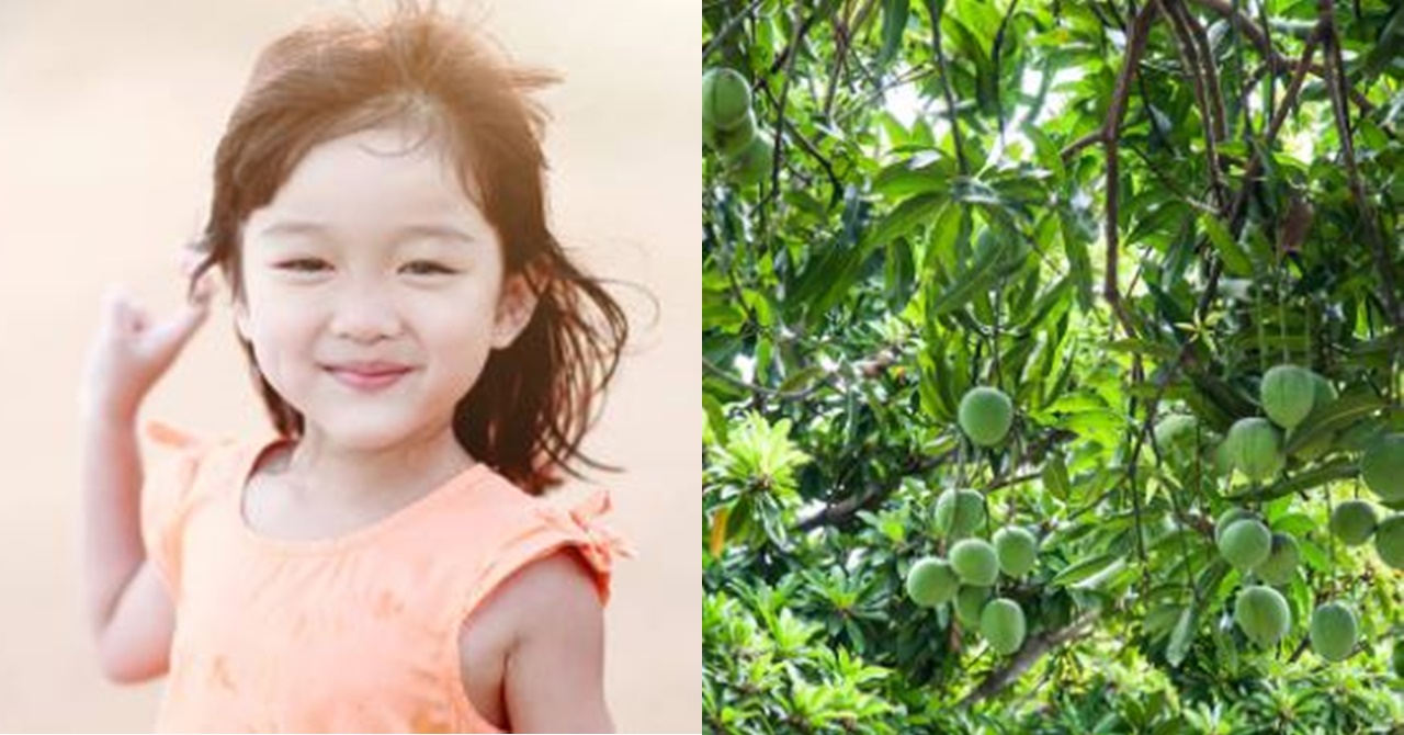 Ikaw, Ako at ang Puno ng Mangga - Inday Trending