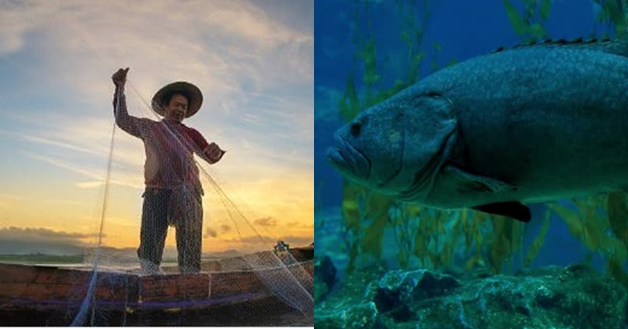 Nagulat ang Mangingisda nang Biglang Nagsalita ang Nahuling Isda; Pabuya Pala ang Handog Nito Kapag Ito’y Pakawalan