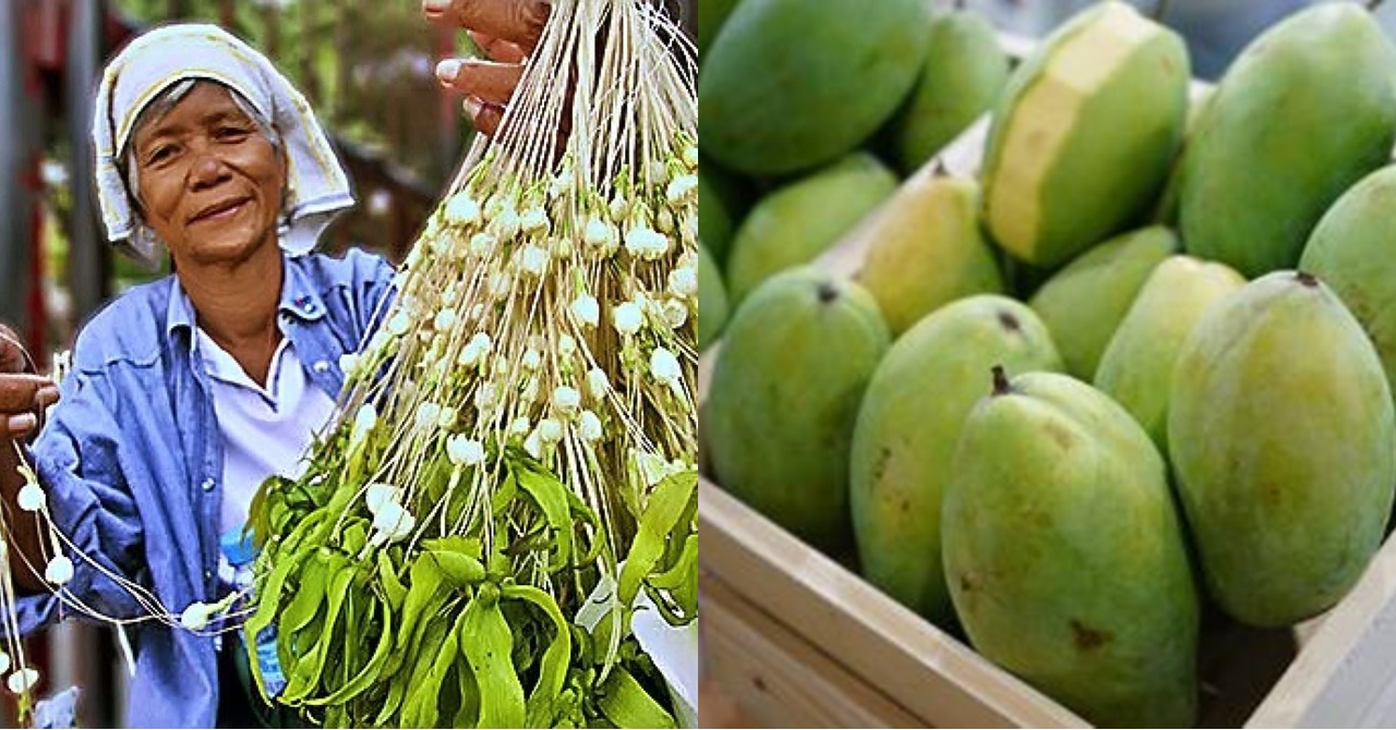 Kinabwisitan ng Dalagita ang Tindera ng Sampaguita; Bigla Siyang Nahabag nang Umiyak ang Kasama Nitong Bata