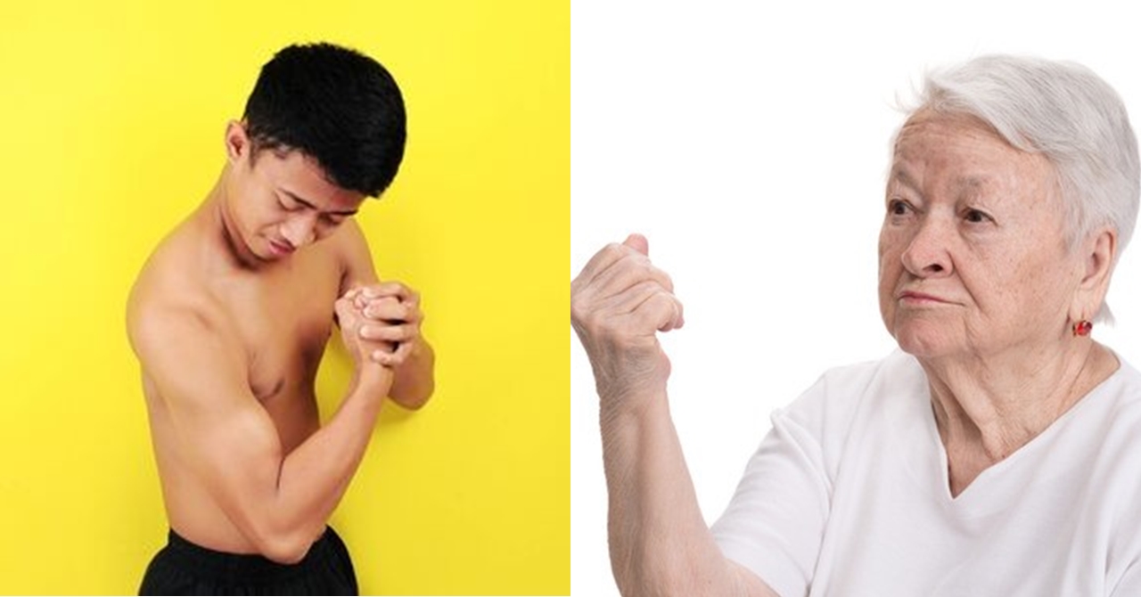 Walang Kinatatakutan ang Binatang Ito Dahil sa Laki ng Kaniyang Katawan; Isang Sikreto ang Mabubunyag na Magpapatupi sa Kaniya