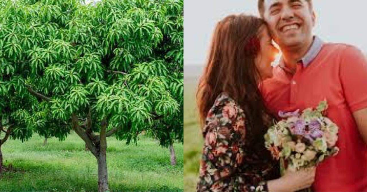 Labis na Nasaktan ang Dalaga nang Pumanaw ang Lalaking Iniibig; Isang Bagong Salta ang Nakakuha ng Kaniyang Interes