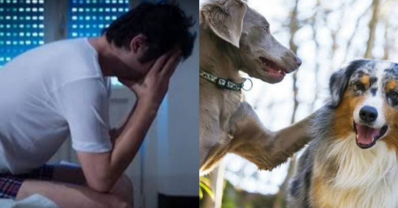 Tahol ng mga Nagwawalang Aso ang Dahilan Kaya Hindi na Nakakatulog nang Maayos ang Lalaki; Ano nga ba ang Dahilan?