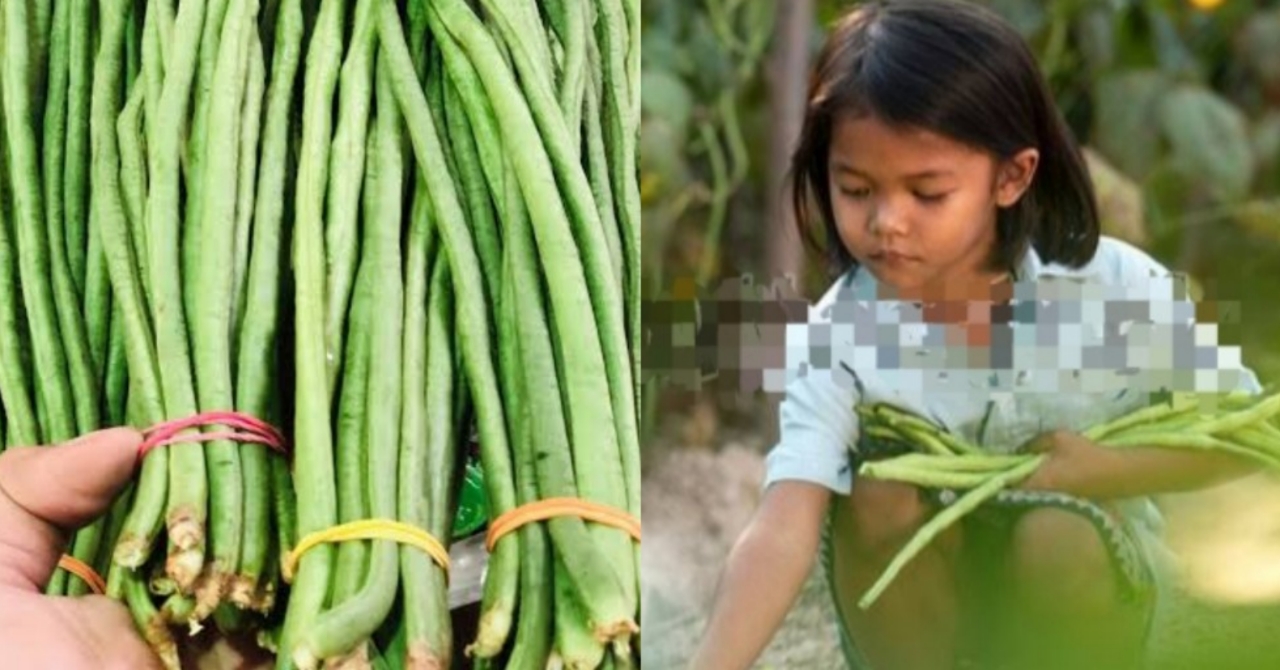 Nagdesisyon ang Dalawang Magkapatid na Maghiwalay ng Pwesto Upang mas Madaling Maubos ang Paninda; Maganda Kaya ang Naisip Nila