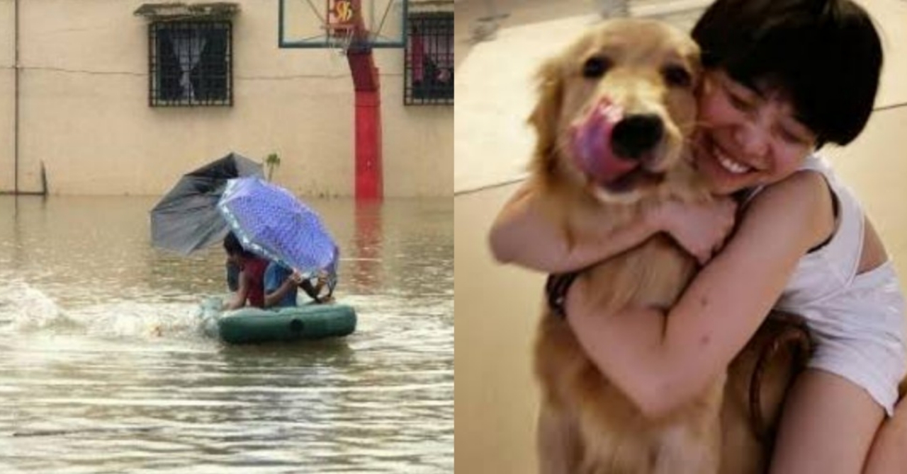 Sa Panahon ng Kalamidad, Takot at Pangamba ang Nararamdaman ng Lahat; Ngunit Naging Matapang ang Isang Bata Para sa Kaniyang mga Alaga