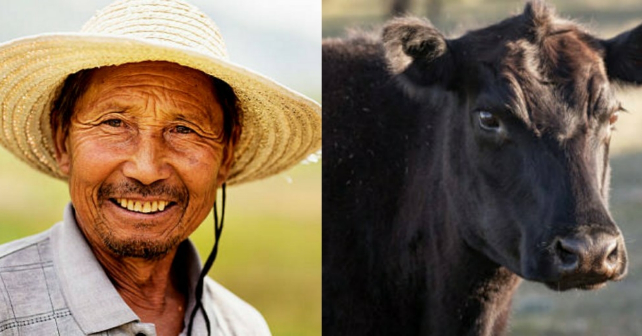 Labis ang Naging Iyak ng Binata Nang Ipagbili ng Kaniyang Itay ang Kanilang Kalabaw; Tuluyan na Ba Silang Magkakawalay ng Kaniyang Alaga?