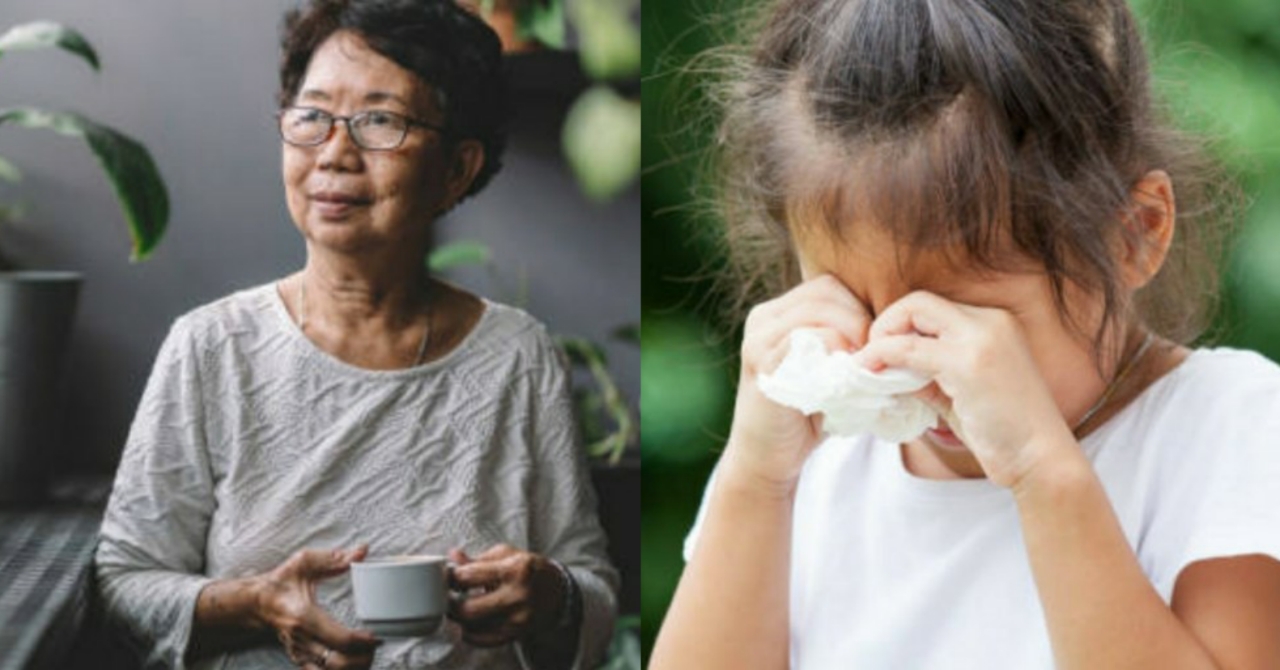 Iniligaw ng Ina ang Kaniyang Anak sa Malayong Bundok Ayon sa Kagustuhan ng Bago Niyang Asawa; Isang Matandang Babae ang Makikilala ng Bata