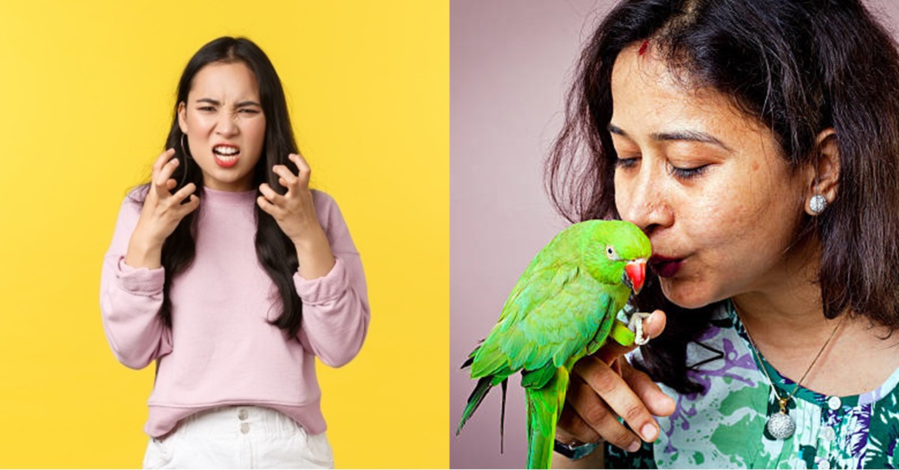Ayaw ng Ina sa Ibong ‘Parrot’ na Tinulungan at Inampon ng Kaniyang Anak; Lingid sa Kaalaman Niya’y Ito Pala ang Magliligtas sa Kaniyang Buhay