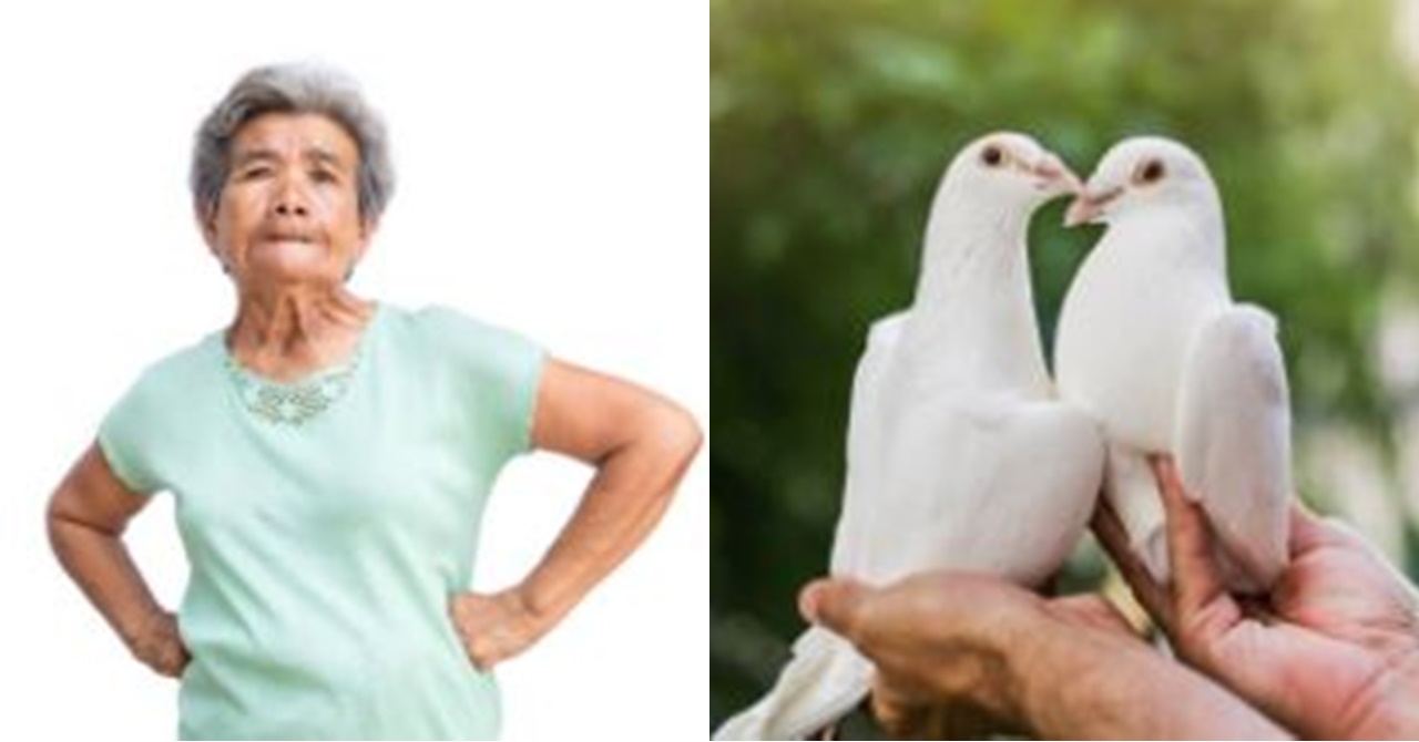 Ayaw ng Lola ng Dalaga sa Manliligaw Nito; Nang Malamang Magkikita ang Dalawa ay Huhulihin Niya sa Akto Ngunit Siya Pala ang Magugulat
