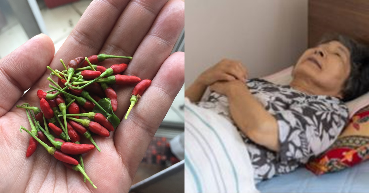 Bukod sa Pananakit ay Nilagyan pa ng Sili ng Nars ang Maselang Parte ng Inaalagaang Matanda; Magugulat Siya sa Ganti ng Bilyonaryang Pasyente