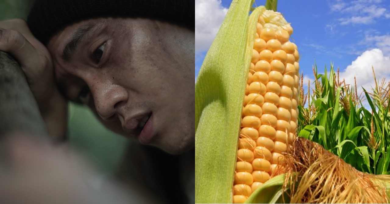 Nais Niyang Ipagbili ang Kanilang Taniman ng Mais para Maipagamot ang Ama; Ito Pala ang Makapagpapayaman sa Kanila