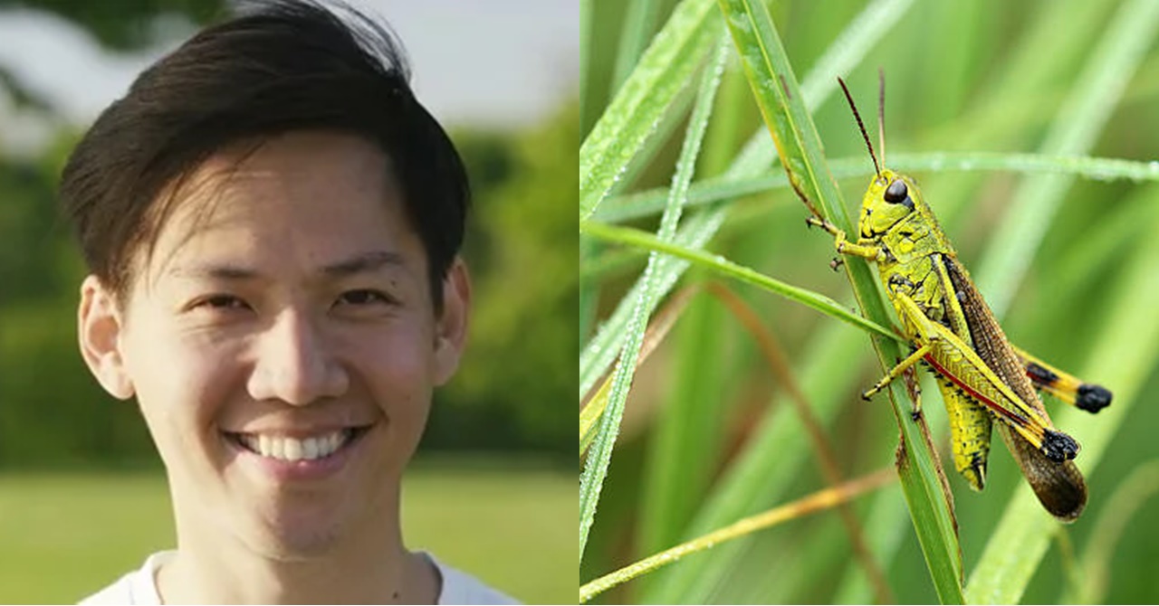 Kahit Takot sa mga Insekto ang Kaniyang Kapatid, Patuloy Niya Itong Tinatakot; Nataranta Siya nang Tila Tumigil Ito sa Paghinga￼